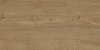 Rio Gold 60x120